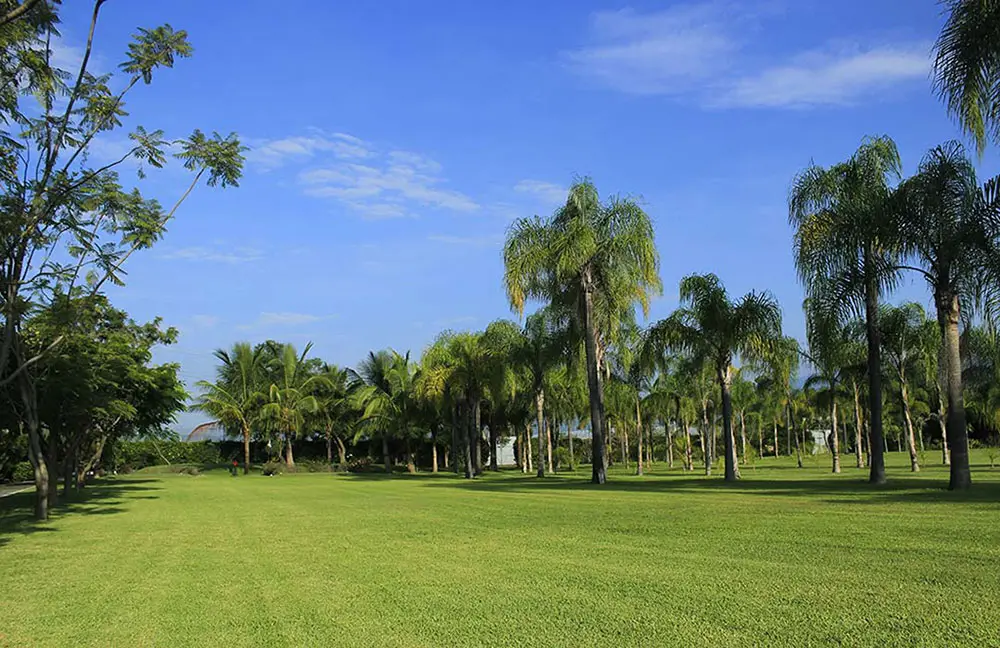 Evento social en jardines de The Lorian Club